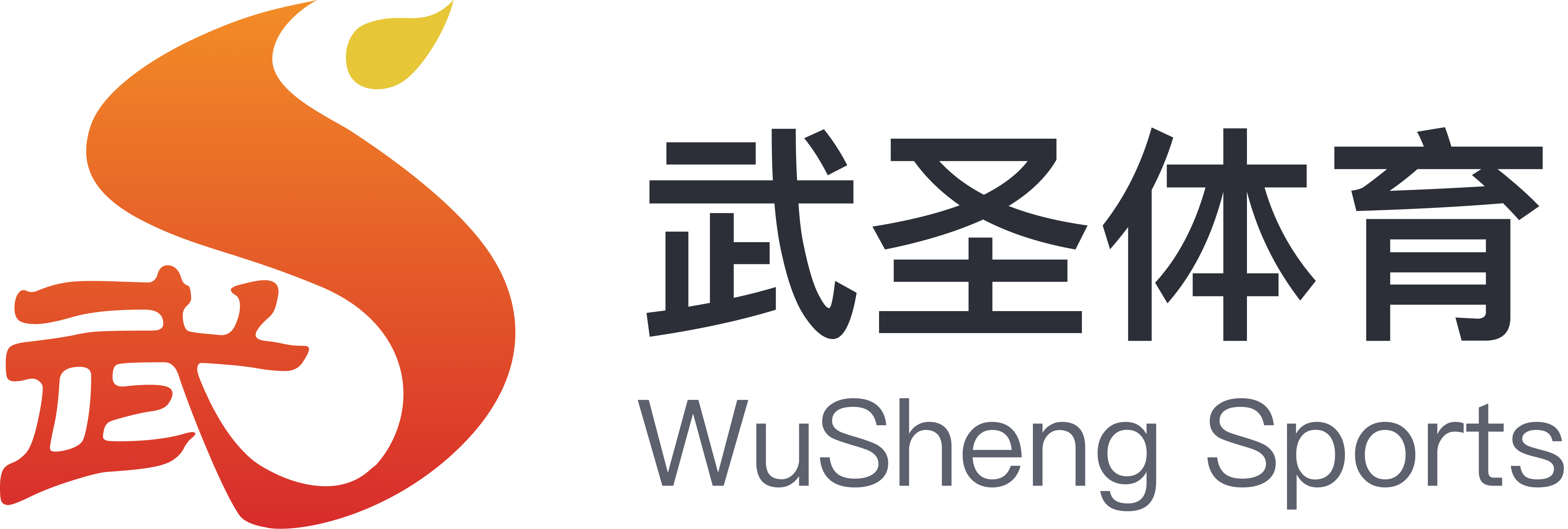武圣体育